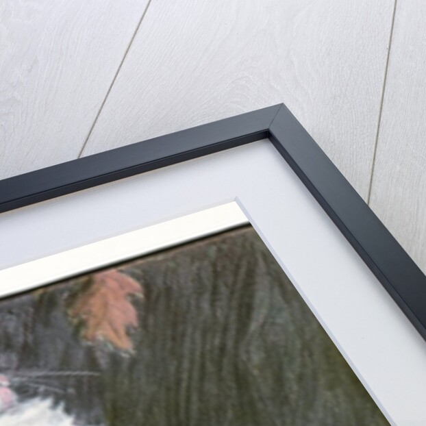 A White and Gray Persian Cat on a Park Bench in the Fall by Anonymous