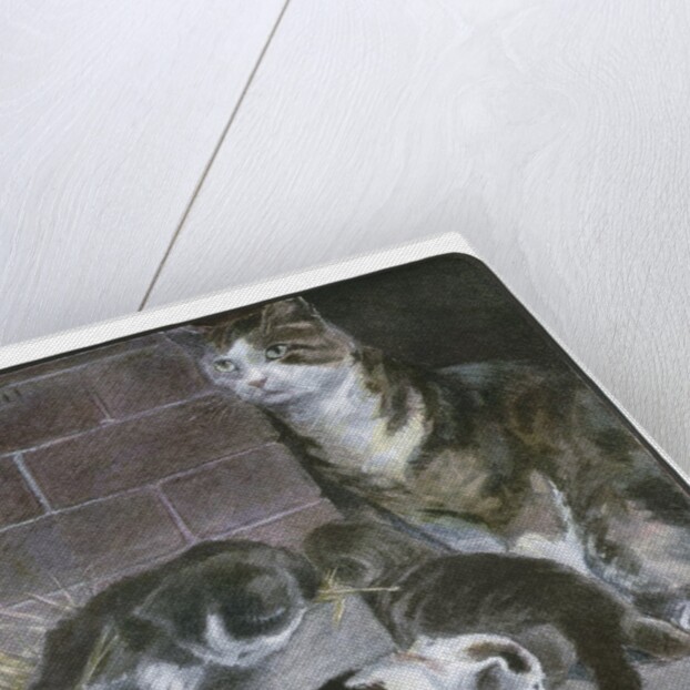 Domestic Cat with Three Kittens by Anonymous