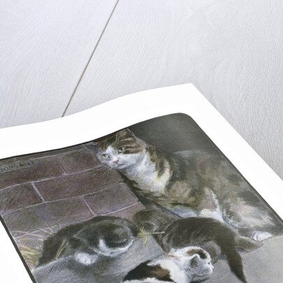 Domestic Cat with Three Kittens by Anonymous