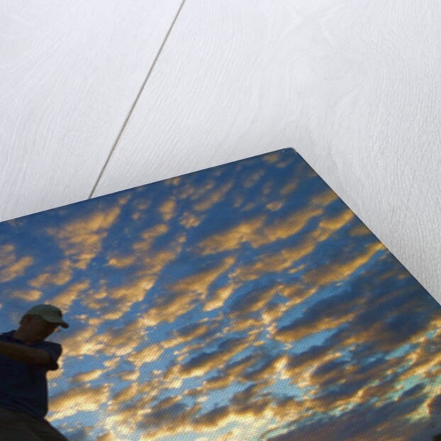 Silhouette of golfer at sunset, Maui, Hawaii by Anonymous