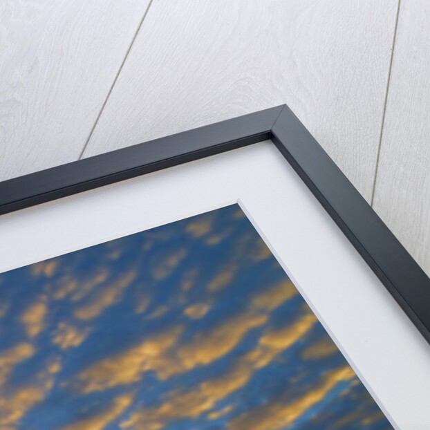 Silhouette of golfer at sunset, Maui, Hawaii by Anonymous