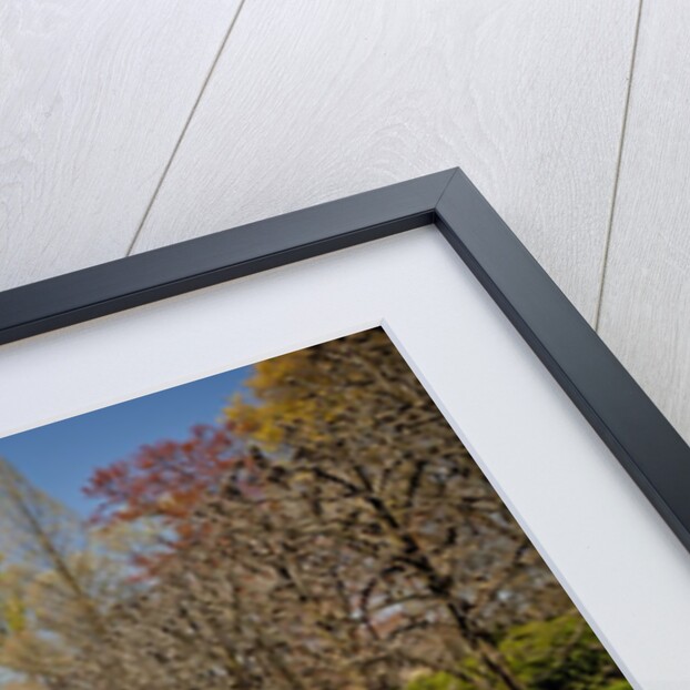Italian Water Garden at Longwood Garden by Anonymous