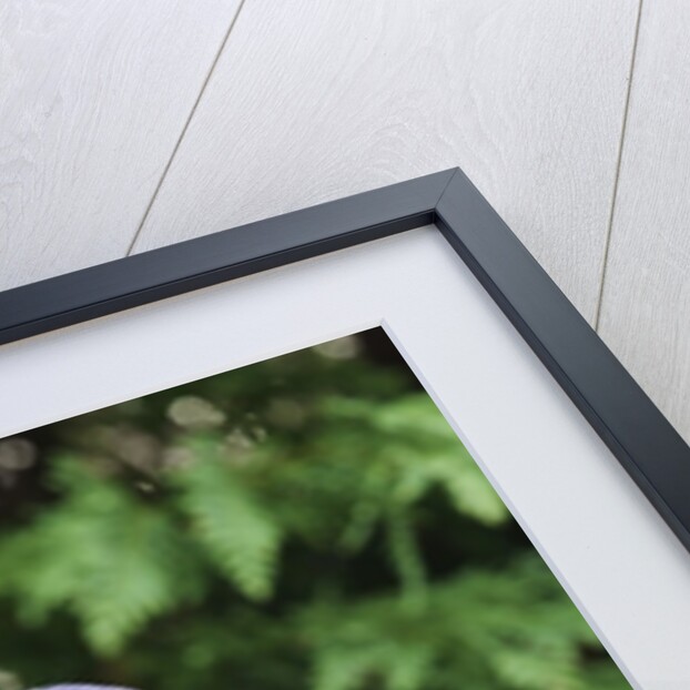 Bird on tree, close-up by Anonymous