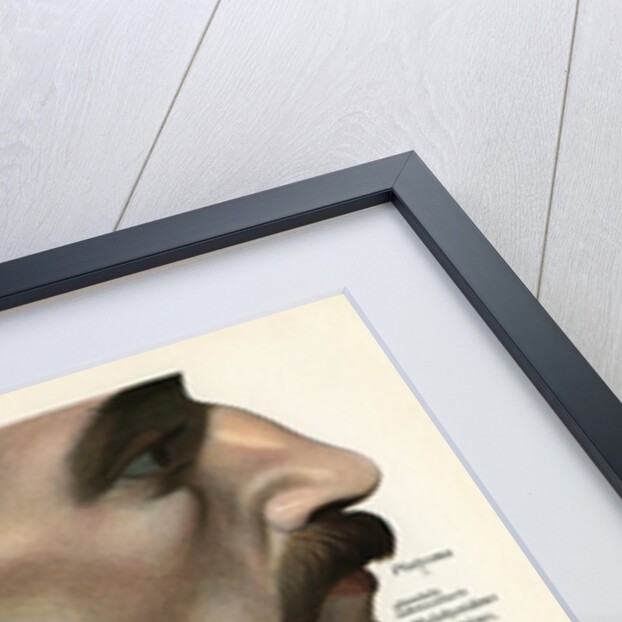 Lateral View of the Muscles and Glands of the Human Neck by Anonymous