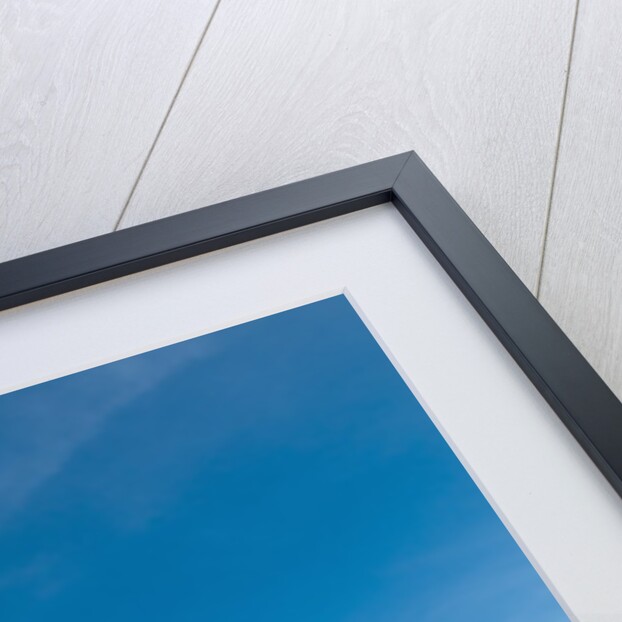 Acacia, Masai Mara, Kenya by Anonymous