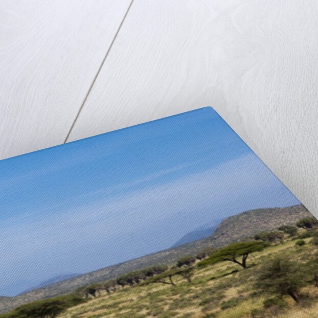 Samburu, Kenya by Anonymous