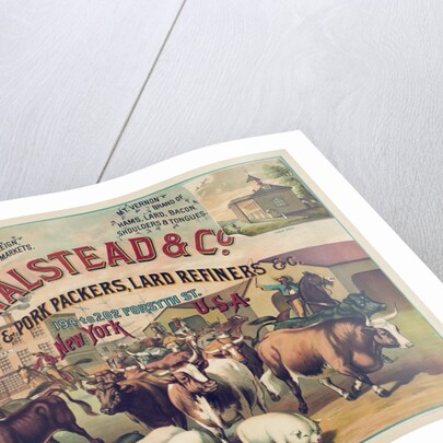 Halstead & Co. Beef & Pork Packers, Lard Refiners & Co. by Anonymous
