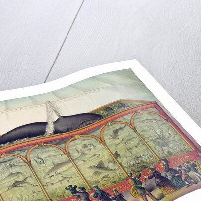 Lithograph of 19th century traveling aquarium by Anonymous