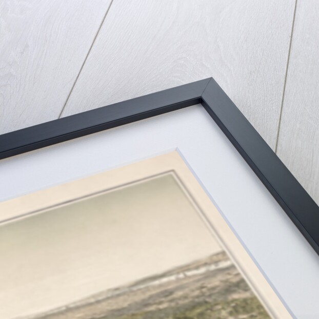 Lithograph of Central Park by Anonymous