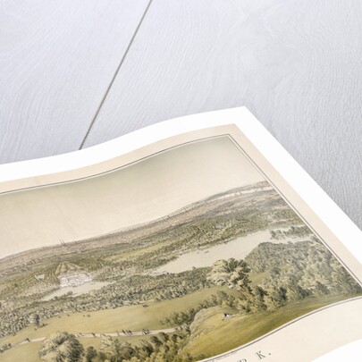 Lithograph of Central Park by Anonymous