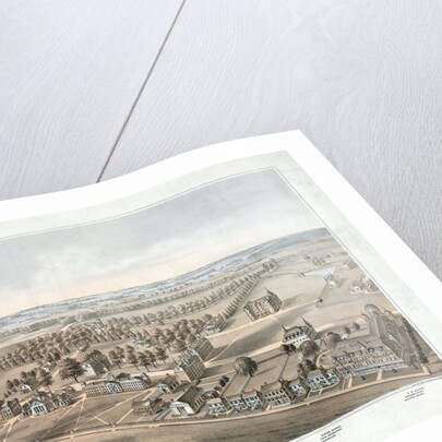 Lithograph of Princeton College by Anonymous