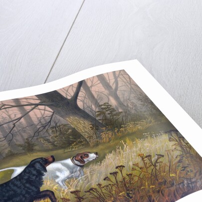 Hunting dogs in woods by Anonymous