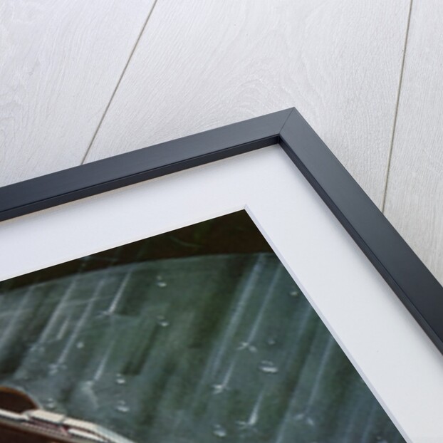 Wipers Clearing Rain from the Windshield of a Woman Driver. by Anonymous