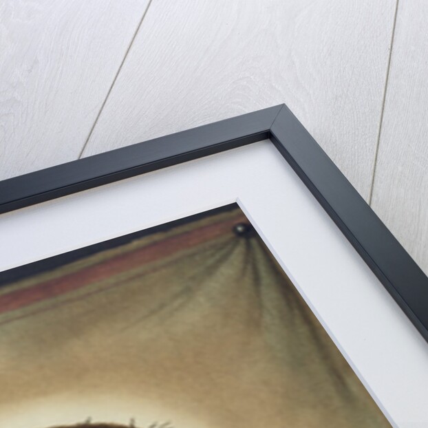 Veronica's Veil by Anonymous