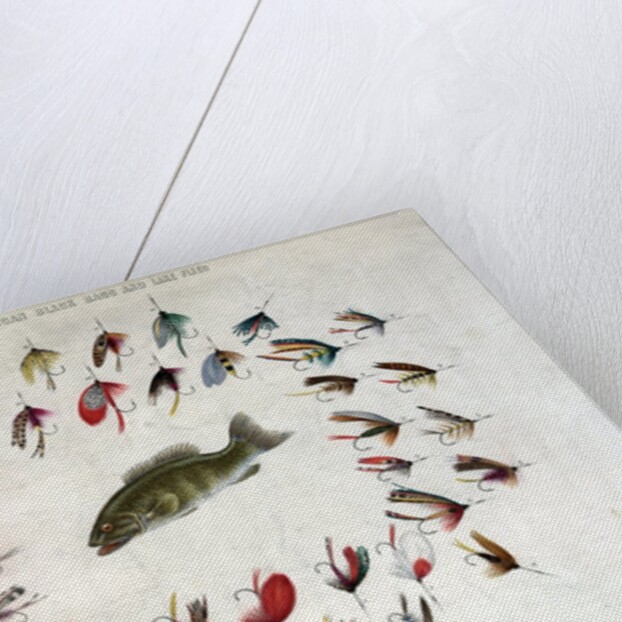 Standard American Black Bass and Lake Flies by Anonymous
