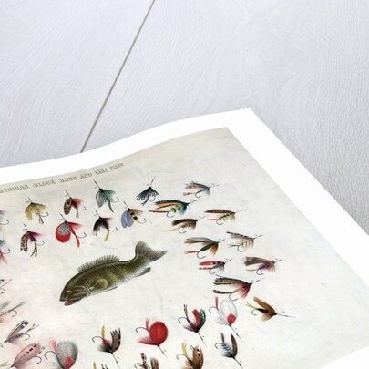 Standard American Black Bass and Lake Flies by Anonymous