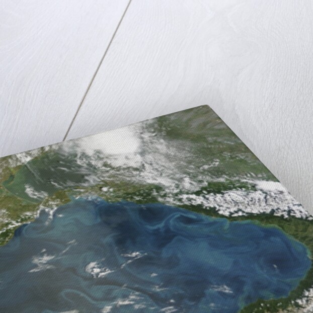 Phytoplankton bloom in the Black Sea by Anonymous