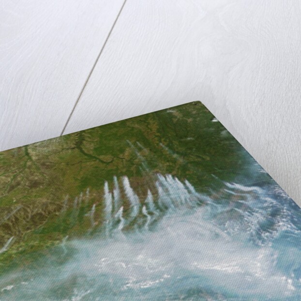 Satellite view of fires burning in Siberia by Anonymous