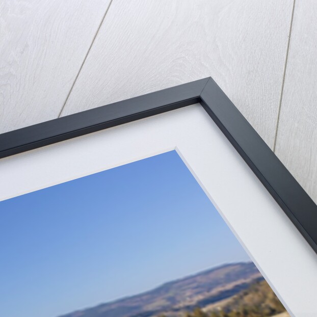 Hood River Valley and spring blossoms with Mt. Hood. Oregon by Anonymous