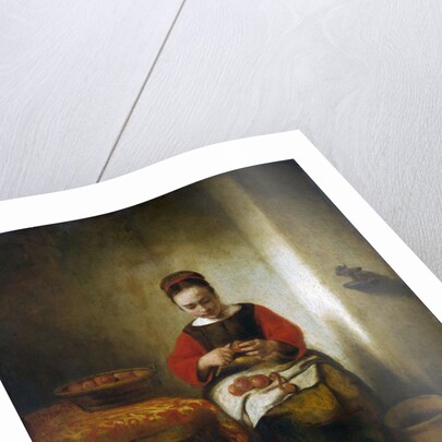 Young Woman Peeling Apples by Nicolaes Maes