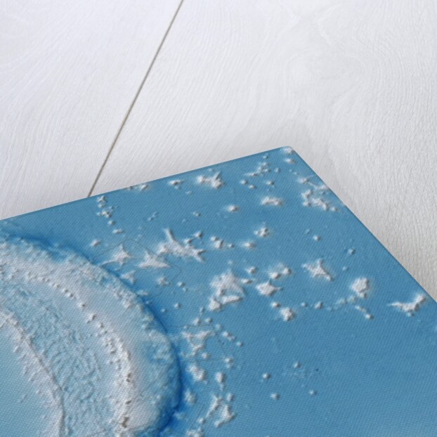 Map of the Mariana Trench by Anonymous