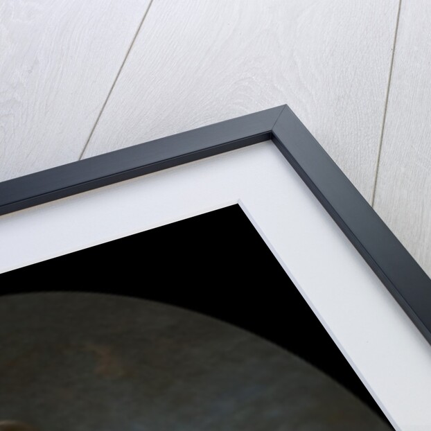 Girl with Roses by Workshop of François Boucher