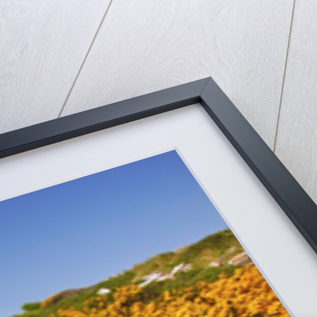 wildflowers add beauty to Coquille River Lighthouse, Bandon Beach, Oregon Coast, Pacific Northwest. by Anonymous