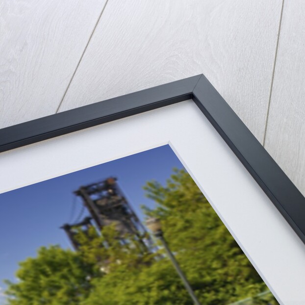 wild flowers add beauty to Portland. Oregon. Pacific Northwest. by Anonymous