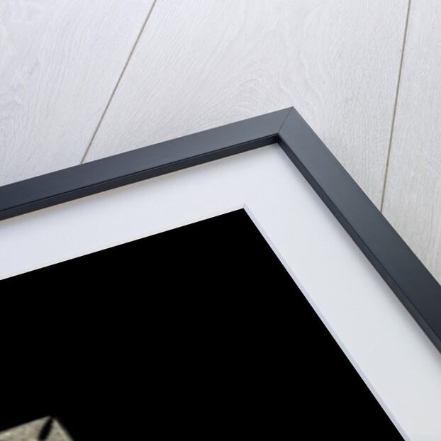 The Imperial Crown of India by Anonymous