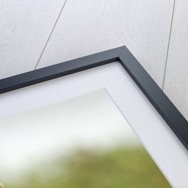 Cheetah at Ngorongoro Conservation Area, Tanzania by Anonymous