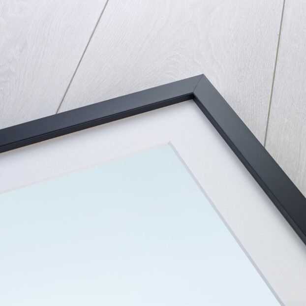 Cheetah at Ngorongoro Conservation Area, Tanzania by Anonymous