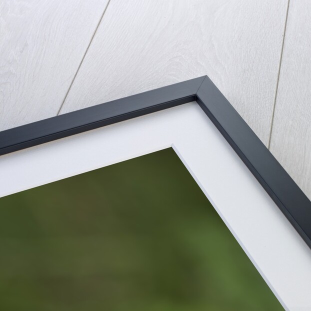 Dung Beetle by Anonymous