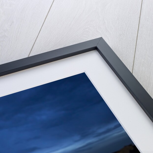 Lioness and cub by Anonymous