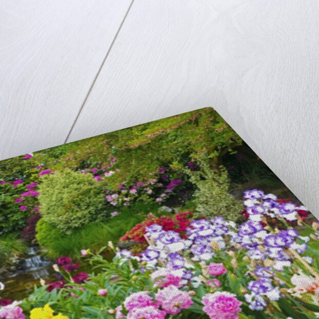 Schreiner Iris Gardens in Salem, Oregon by Anonymous