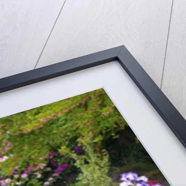 Schreiner Iris Gardens in Salem, Oregon by Anonymous