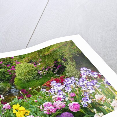 Schreiner Iris Gardens in Salem, Oregon by Anonymous