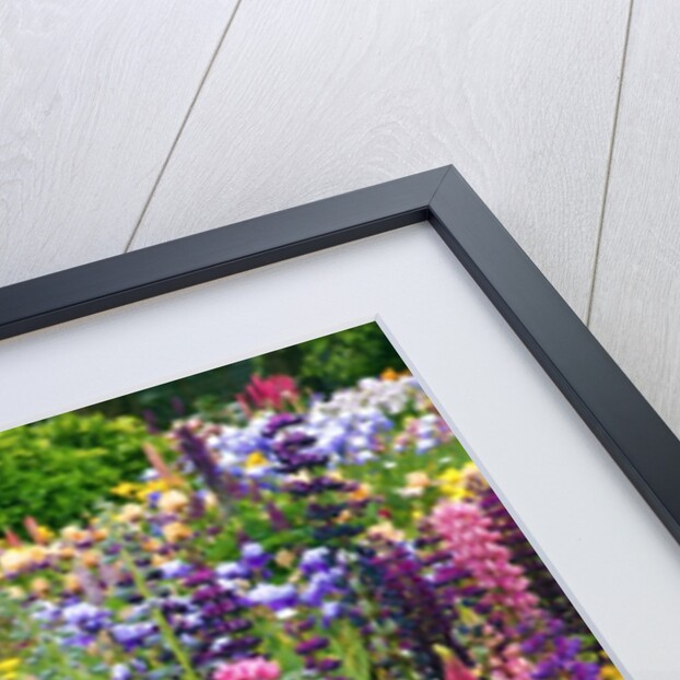 Schreiner Iris Gardens in Salem, Oregon by Anonymous