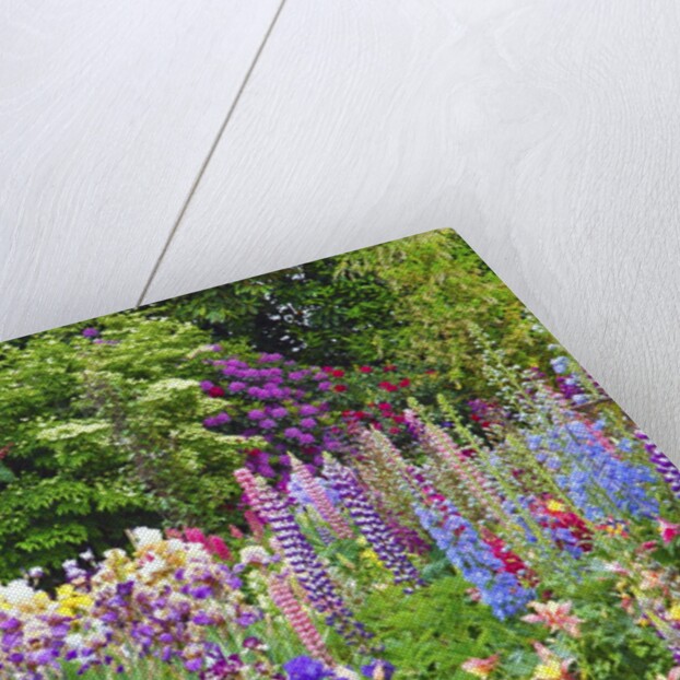 Schreiner Iris Gardens in Salem, Oregon by Anonymous