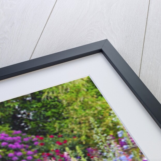 Schreiner Iris Gardens in Salem, Oregon by Anonymous