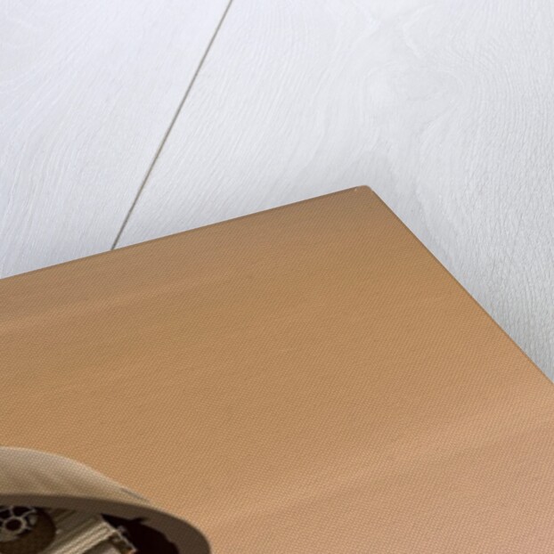 Curiosity While on Parachute by Anonymous