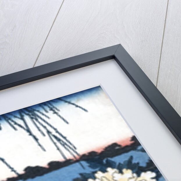 Enjoying a garden of peonies by Anonymous