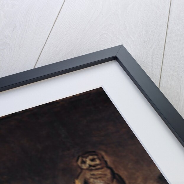 Malle Babbe by Frans Hals