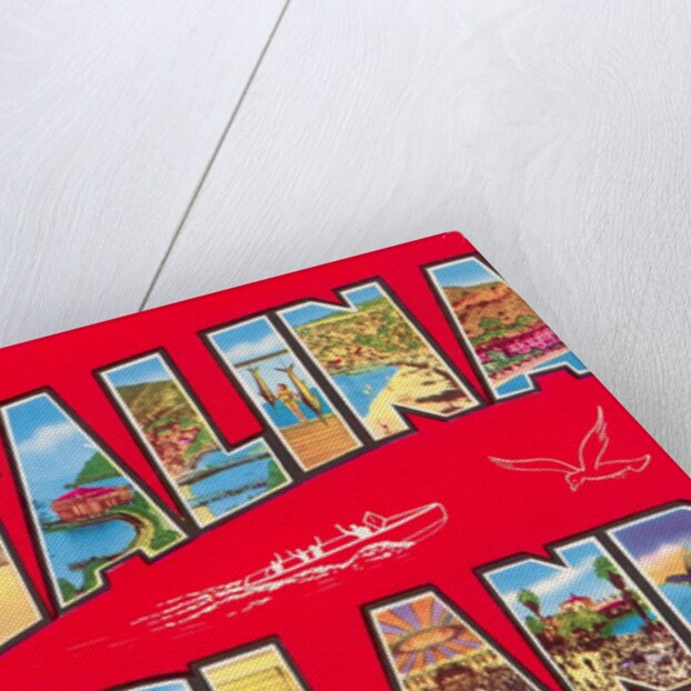 Greetings from Catalina Island, California by Anonymous