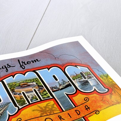 Greetings from Tampa, Florida by Anonymous