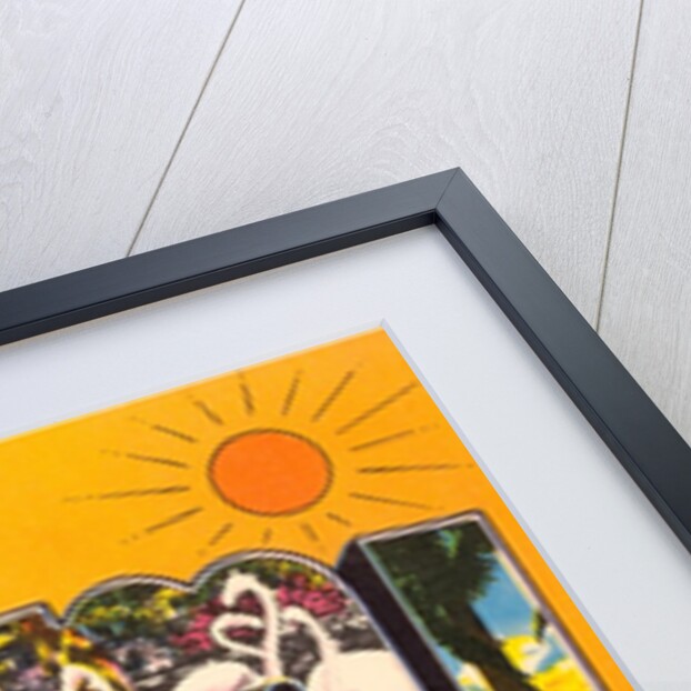 Greetings from Miami, Florida by Anonymous