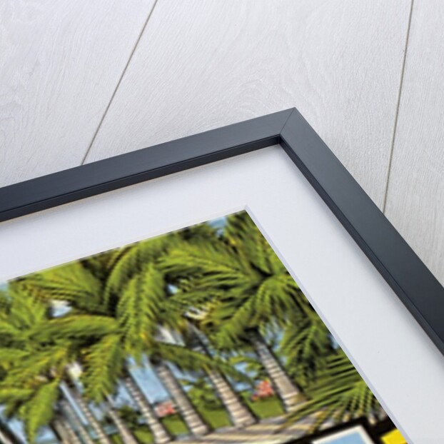 Greetings from Palm Beach, Florida by Anonymous