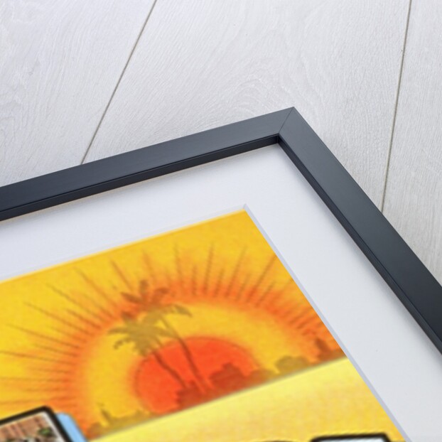 Greetings from St. Petersburg, Florida by Anonymous