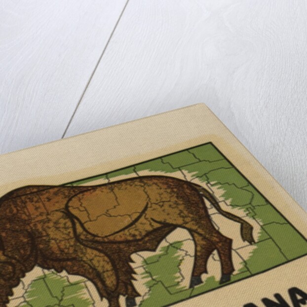 Montana travel decal by Anonymous