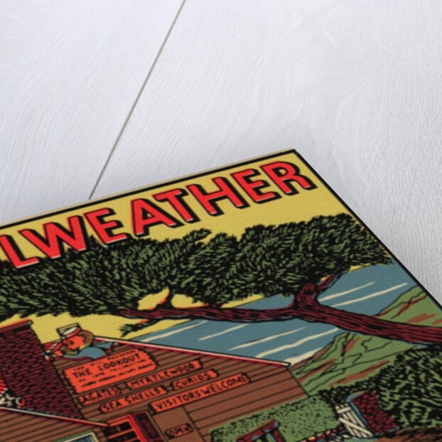 Cape Foulweather travel decal by Anonymous