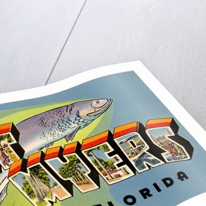 Greetings from Fort Myers, Florida by Anonymous